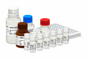 DHEA Saliva ELISA kit