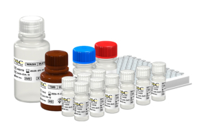 Dihydrotestosterone (DHT) ELISA kit, REF: CAN-DHT-280