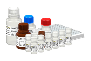 Ferritin ELISA kit, REF: CAN-F-4280