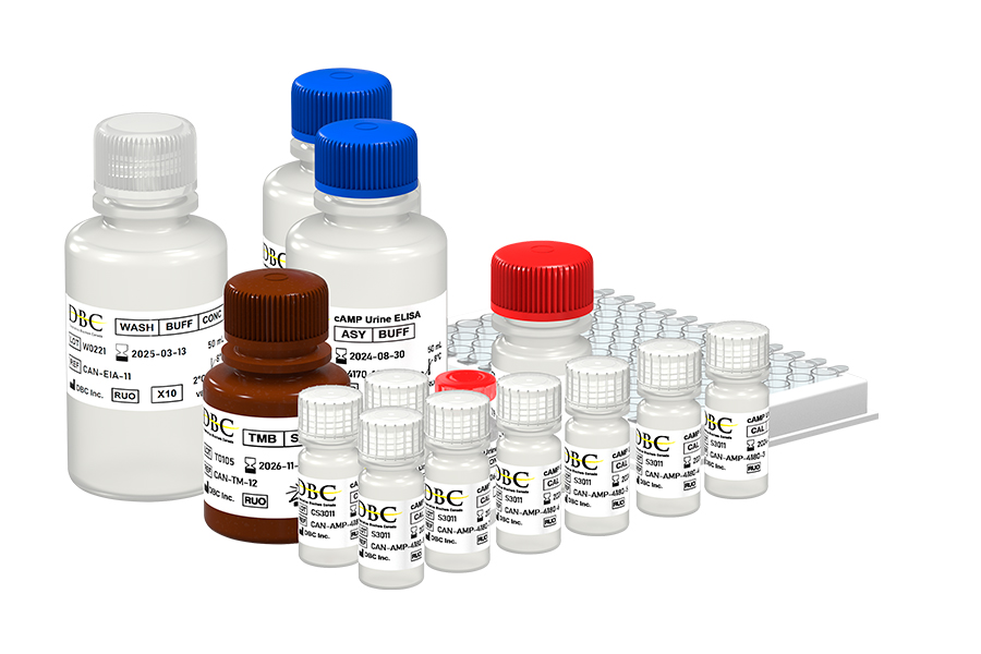 cAMP Urine ELISA kit, REF: CAN-AMP-4180