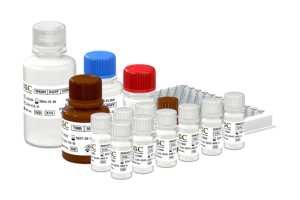 Dehydroepiandrosterone (DHEAS) ELISA kit, REF: CAN-DHS-480