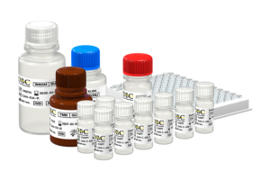 Estrone ELISA kit, REF: CAN-E-420