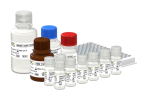 Testosterone Saliva ELISA kit, REF: CAN-TE-300